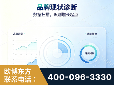 洪湖-品牌现状诊断