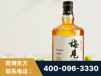 洪湖-梅见青梅酒